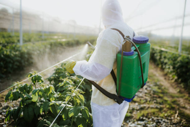 Best Wildlife Control Services  in Towson, MD